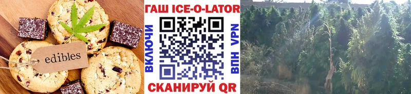 Еда ТГК конопля  где купить наркоту  Борзя 