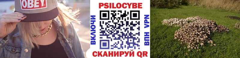 Галлюциногенные грибы Cubensis Борзя