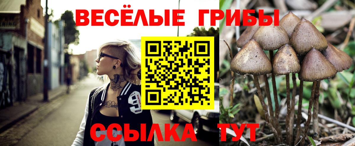 Борзя  Галлюциногенные грибы прущие грибы  Вход с VPN 