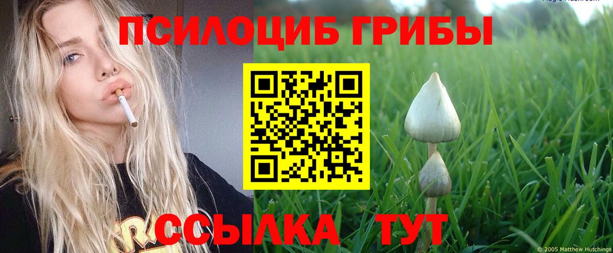 Галлюциногенные грибы GOLDEN TEACHER  Борзя 