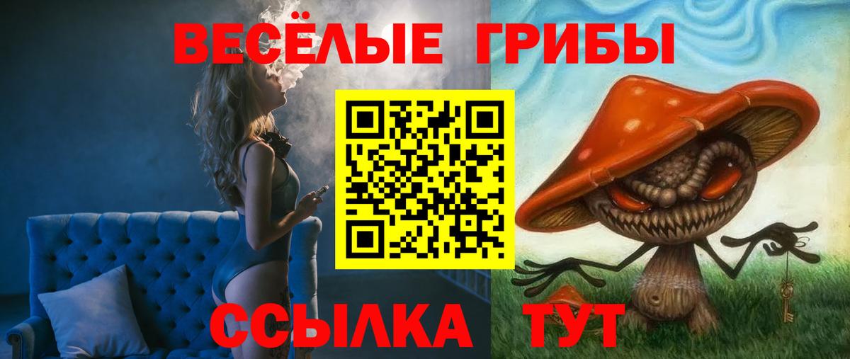 ЭКСТАЗИ  ГАШИШ  ГАШИШ  КОКАИН  Вход с VPN  MDMA  Борзя  Меф МЯУ МЯУ   Каннабис 